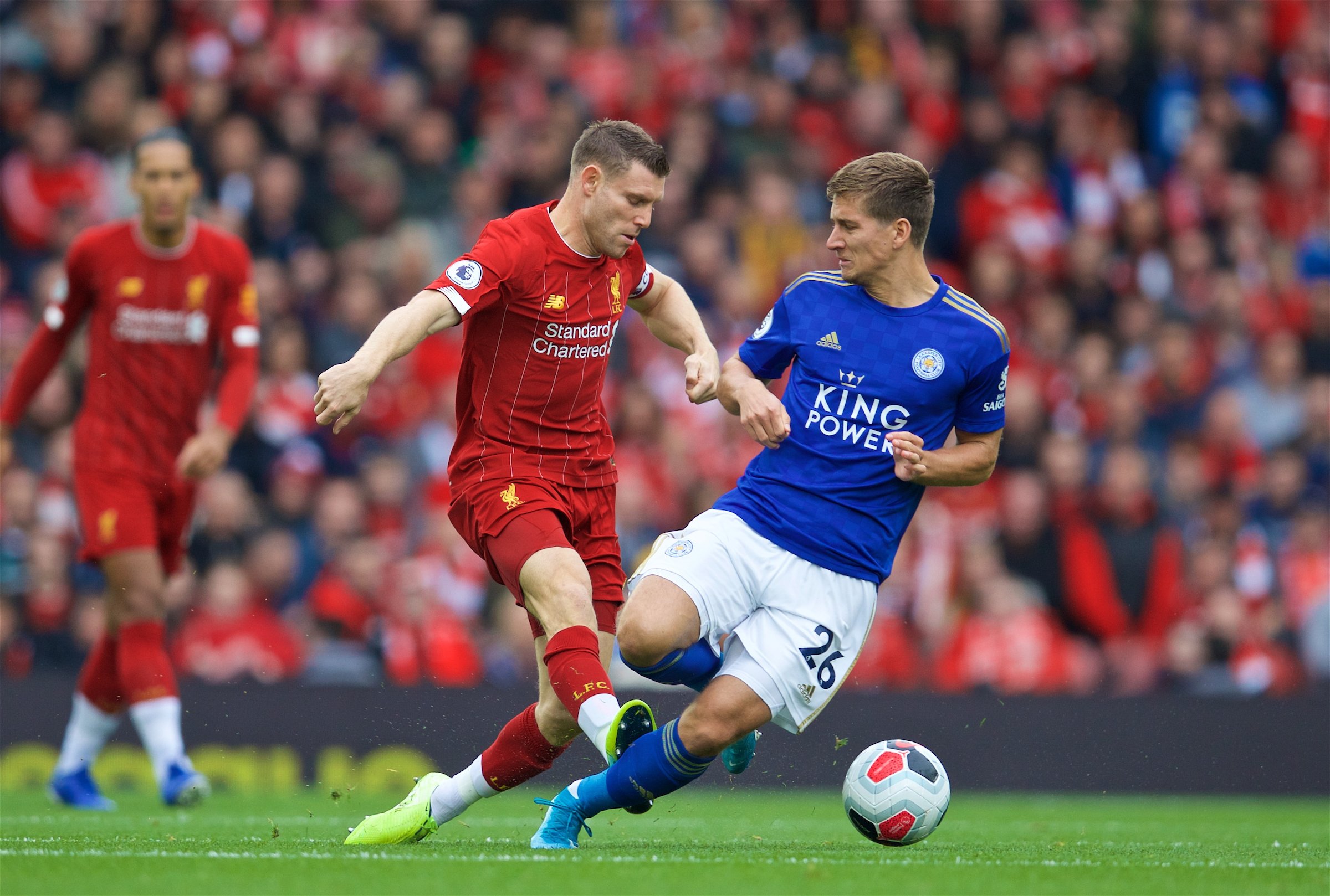 和观赏性的 和观赏性的